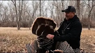 Archery Turkey taken at 15 Yards behind a Stalker Decoy!