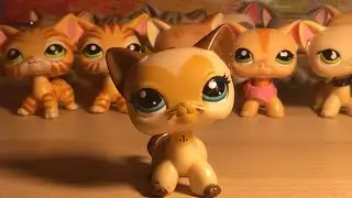 My lps collection (old!)