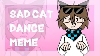 SAD CAT DANCE MEME (ANIMATION) LOLOLOSHKA