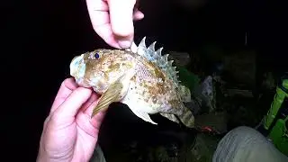 Анапа 2024 Rockfishing Vol 2
