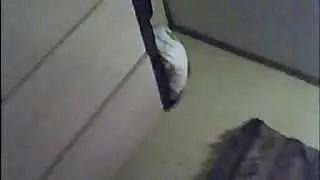 Webcam video from May  4, 2015 12:32 AM (UTC)