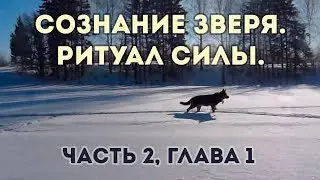 Сознание зверя. Ритуал Силы. Часть 2, глава 1