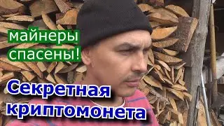 секретная криптомонета делает х4 каждый год