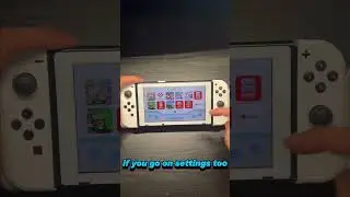 Costum Themes On a Nintendo Switch?  