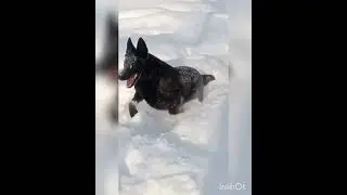 Наши Веолары на физкультуре💪