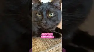 Есть такая поговорка ... 🤣