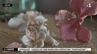 Kosalafé ! Sominn si Hermina Lasson i prézant anou Carole de Pampassion !