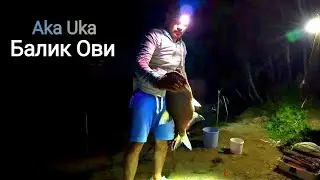 Балик ови Сув омборида лещ балик. BALIQ OVI 24 Soat