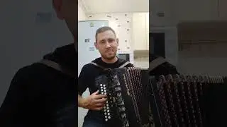мелодия из к/ф бриллиантовая рука невиноватая Я он сам ко мне пришёл)) под гармонь кавер