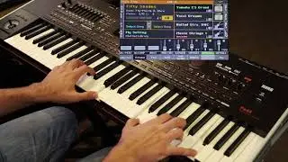 Salamander Pianos & Vocal Assault - Korg Pa4x
