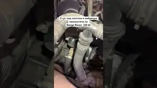 Стук под капотом и вибрация натяжителя на 