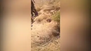 لحظة العُثور على جُثة الشهيد الشامخ الملازم أول أبو بكر السامرائي