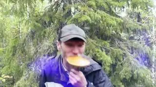 Я грибабас гроза грибов