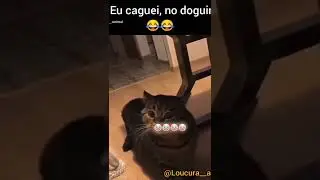 Eu caguei no doguinho