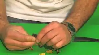 Ettore Brass Clips