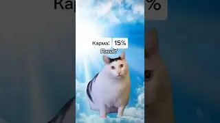 Ангел подрался с девушкой! #cat #mem #cats #shorts #мем #мемы