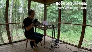 Book of Surprises