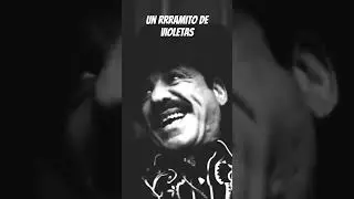 #Lindemann #ramitodevioletas #tillberto #IA