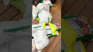 Что посадить в кашпо? 🌷✨