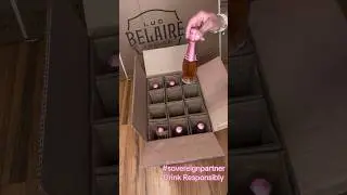 HUGE Belaire Brand AmbassadorUnboxing:Part 2 