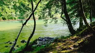 Relaxing River Sounds  | Nature ASMR for focus & productivity  | 3 Hours
