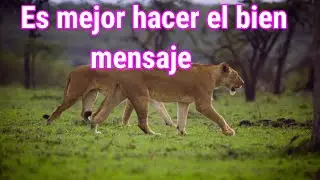Reflexion es mejo hacer el bien sin mirar a quien