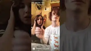 Отрывок со сториса Альберта Кабуу. Альберт с тянкой