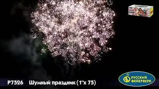 Салют Шумный праздник 1х75 Р7526