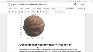 Pytorch Bootcamp   48 Implement CNN Using a Pre Trained Model