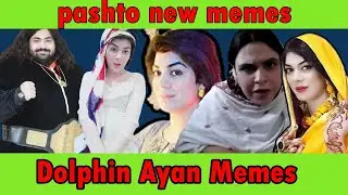 Dolphin Ayan Memes //  Pashto Funny Memes Compilation😀 // New Funny Pashto Memes 😂😂 // Poshto Memes