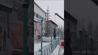Вот так вешают игрушки на ёлку...
