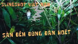 Slingshot Vietnam: Solo hunting wild birds at night