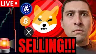 SHIBA INU COIN ONE LAST CRASH LIVE🔴CRYTO DOWN BEFORE PUMP