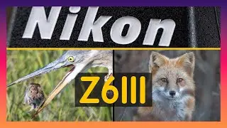 Five years later, a renewed appreciation for Nikon | Z63 | A Nikon ZR that can take photos? | Wil...