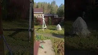 Последнее утро ушедшего лета
