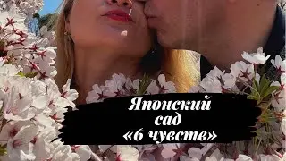 Японский сад «Шесть чувств» в отеле «Мрия резорт спа» Крым