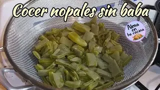 COMO COCER NOPALES SIN BABA
