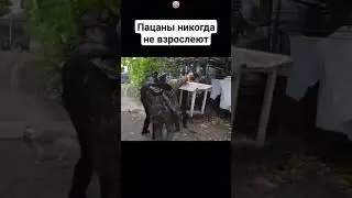 Мем 