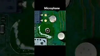 Microphone