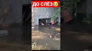ДО СЛЁЗ😢😢😢 