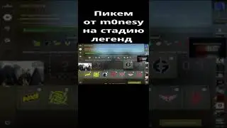 Пикем от Монеси на стадию легенд Мажора || monesy