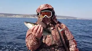 За СУДАКОМ  в ШТОРМ