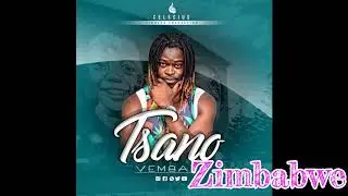 Celscius-Zimbabwe(Artwork Video)