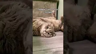 🤣 БРАКИ, КОТОРЫЕ ДЕРЖУТСЯ ДОЛЬШЕ ВСЕГО 🤣 
