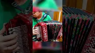 Уух! какая матушка земля на гармони сыграл после ремонта и настройки  #гармонь #игра #матушказемля #