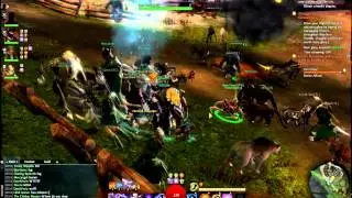 GW2 Beta: Team Legacy Crashes the Server Before Arenanet Can Turn Them Off