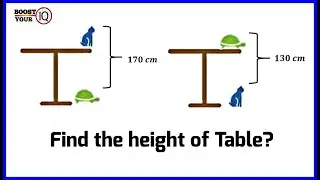 Find the height of Table with Cat and Tortoise | Table, Cat & Tortoise