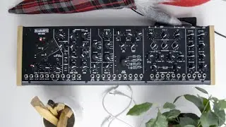 AnalogFX SER 2020 synthesizer -waves and sound tweaking