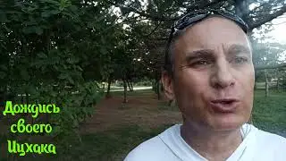 Дождись своего Исаака