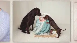 Houston Newborn Photographers - SEEM photography Babies and Pets